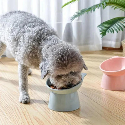 Cat Tilted Bowl Food Water Bowl For Cats Kittens Puppies Pet.