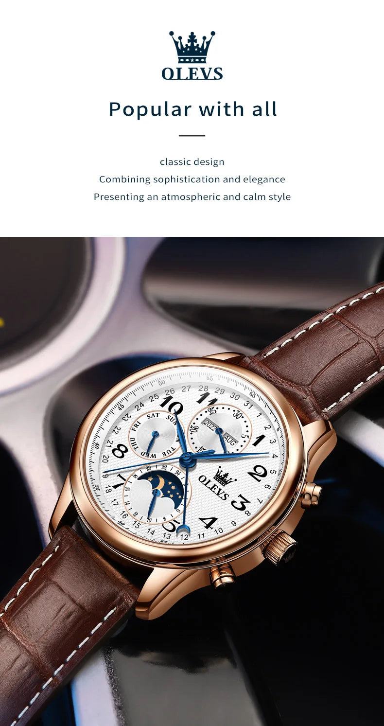 OLEVS Top Brand Luxury Automatic Mechanical Men