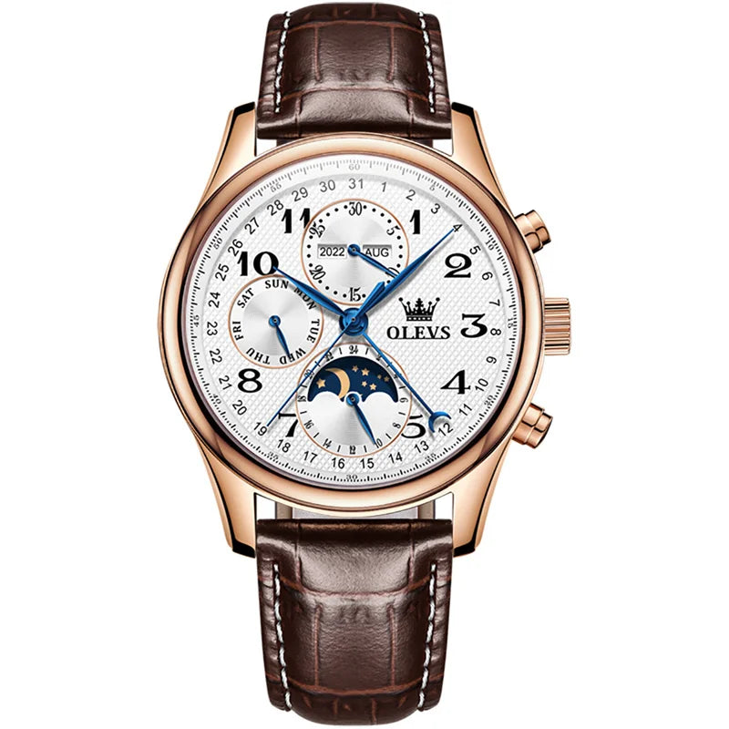 OLEVS Top Brand Luxury Automatic Mechanical Men