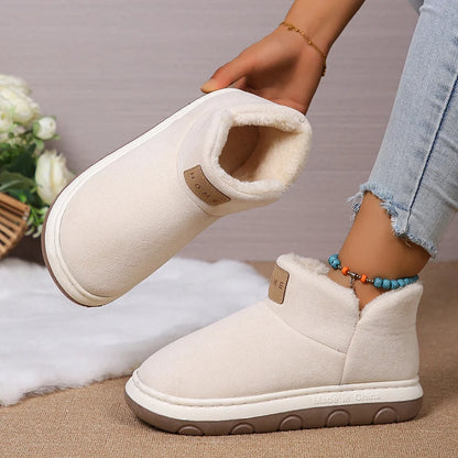 2024 New Women's Cashmere Snow Boots Warm Platform Plush Ankle Boots Couple Thick Sole Slip On Cotton Booties Mujer